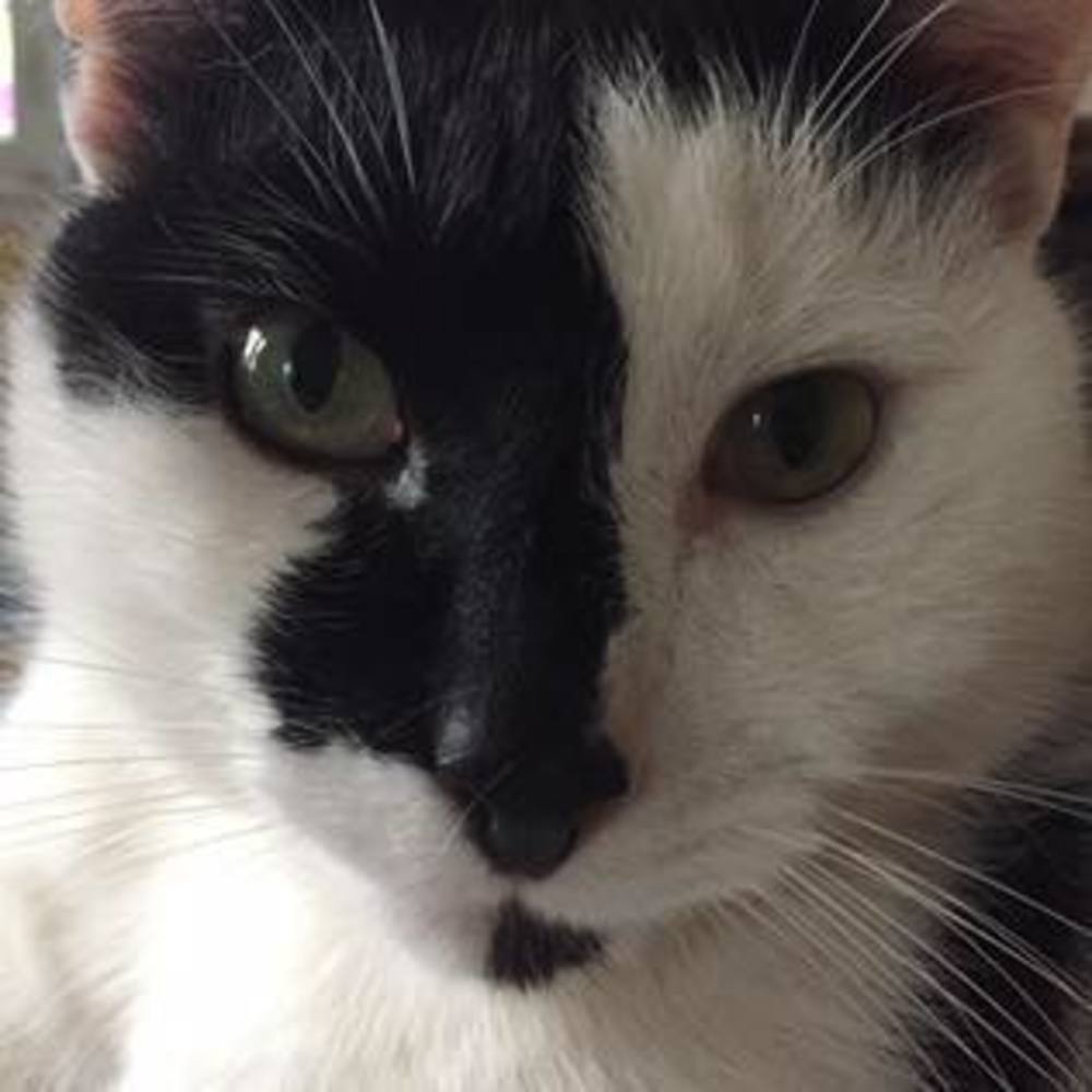 Meet your Posher, Kathy